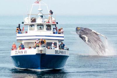 Experiencia nocturna en yate desde Mirissa