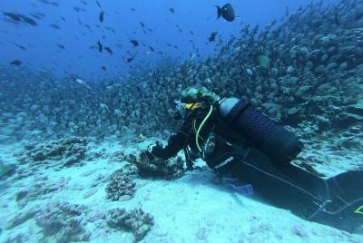 Buceo en Unawatuna
