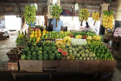 Auténtica clase de cocina de Sri Lanka dentro del fuerte de Galle en una casa tradicional holandesa