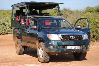 Excursión privada de un día a Yala desde Tangalle con almuerzo Excursión privada de un día a Yala desde Tangalle con almuerzo