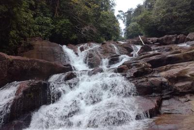 Exploración de la selva tropical de Kanneliya con Noyel Exploración de la selva tropical de Kanneliya con Noyel