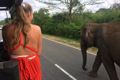 Yala Safari Drive desde Galle, Weligama, Mirissa y Dickwella Yala Safari Drive desde Galle, Weligama, Mirissa y Dickwella