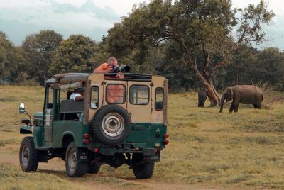 Safari en el Parque Nacional Udawalawe desde Koggala