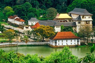 Kandy City Tour desde Hikkaduwa