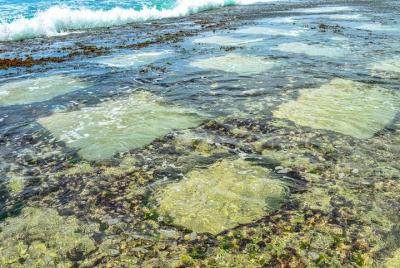 Aspectos destacados de la costa sur de Talpe