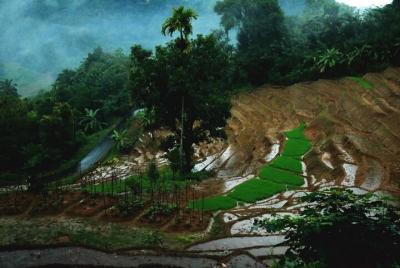 Caminata guiada de Heeloya Village a través de Rangala