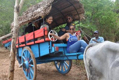 Excursión a la roca y al pueblo de Sigiriya desde Negombo