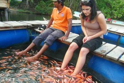 Explore la naturaleza y el patrimonio en Galle desde Negombo (exc
