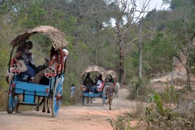 Excursión a la aldea de Sigiriya desde Negombo