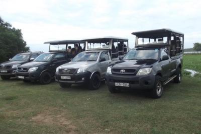 Safari especial de leopardo en el Parque Nacional de Yala - 04.00 a 11.30.