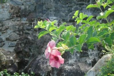 Excursión a la isla norte de Santa Lucía