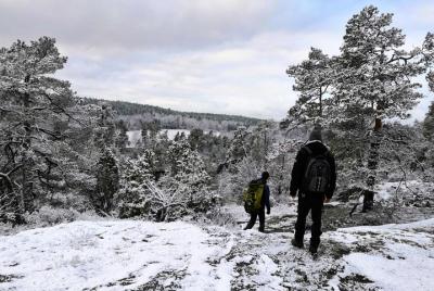 Excursión de 1 día para grupos pequeños en Estocolmo en invierno Excursión de 1 día para grupos pequeños en Estocolmo en invierno