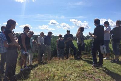 Recorrido guiado de 8h con visitas a Anundshög, Biskops-Arnö y Sigtuna desde Estocolmo Recorrido guiado de 8h con visitas a Anundshög, Biskops-Arnö y Sigtuna desde Estocolmo