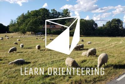 Curso privado de orientación para principiantes en el norte de Royal Djurgården Curso privado de orientación para principiantes en el norte de Royal Djurgården
