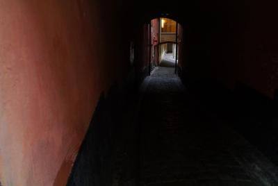 Recorrido por la historia del terror y el folclore oscuro de Estocolmo: paseo fantasma de 90 minutos para grupos pequeños Recorrido por la historia del terror y el folclore oscuro de Estocolmo: paseo fantasma de 90 minutos para grupos pequeños