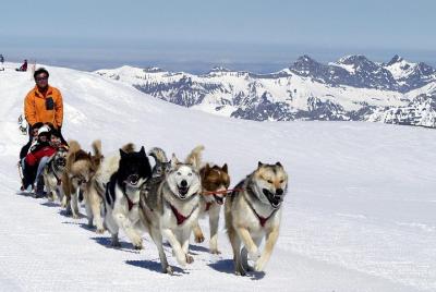 Tour privado Glacier 3000 Gold