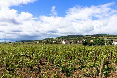 Beaune y los viñedos de Borgoña desde Ginebra