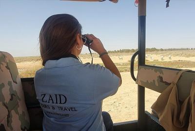 Excursión Privada de los Castillos del Desierto del Este de Jorda Excursión Privada de los Castillos del Desierto del Este de Jorda