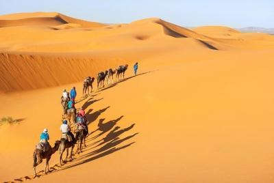 Sahara desert tour Chigaga (M'hamid) - 2 días desde Marrakech