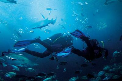 Bangkok SEA LIFE y Madame Tussauds