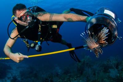 Pesca submarina de Zanzíbar: salida de Kizimkazi