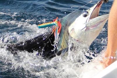 Experiencia privada de pesca de medio día en alta mar en Zanzíbar