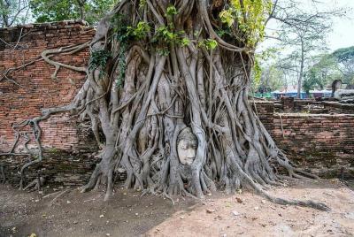 Tour guiado de día completo de Ayutthaya