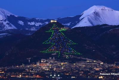 Excursión de día completo desde Roma a Gubbio: el árbol de Navidad más grande del mundo
