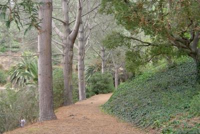 Paseos por la naturaleza escondida en la ciudad Paseos por la naturaleza escondida en la ciudad
