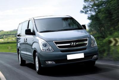 Minivan privado y conductor (hasta 9 pasajeros) Minivan privado y conductor (hasta 9 pasajeros)