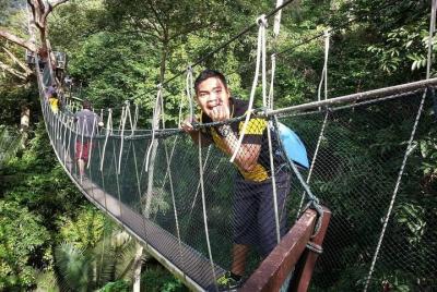 Tour privado: Exploración del bosque lluvioso del Instituto de In