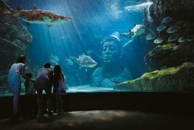 Acuario Bangkok Ocean World Sea Life