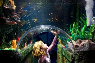 DESCUENTO TURÍSTICO Entradas para SEALIFE (Siam Paragon)