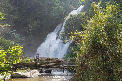 ¡Fantástico! Tour al parque nacional Doi Inthanon + 2 horas de caminata en Phadokseaw ¡Fantástico! Tour al parque nacional Doi Inthanon + 2 horas de caminata en Phadokseaw