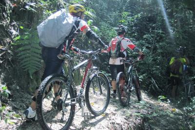Full-Day Advanced XC Downhill Biking en el Parque Nacional Doi Suthep Chiang Mai