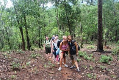 2D1N Mae Wang National Park Jungle Trekking Adventure desde Chiang Mai