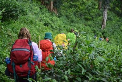 Excursión de 3 días a la montaña de Chiang Dao Excursión de 3 días a la montaña de Chiang Dao