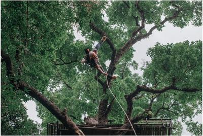 Flying Squirrels Zipline Adventure desde Chiang Mai