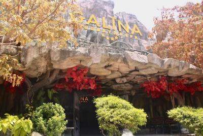 Baño de barro y spa Galina Da Nang - SOLO baño de barro mineral caliente