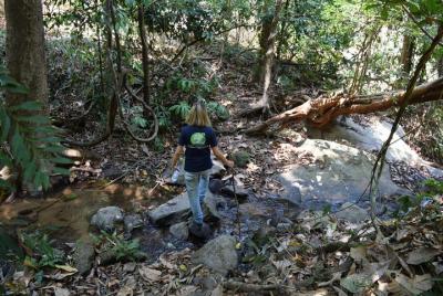 Trekking de medio día Doi Suthep - Área del Parque Nacional Pui (Tour privado) Trekking de medio día Doi Suthep - Área del Parque Nacional Pui (Tour privado)