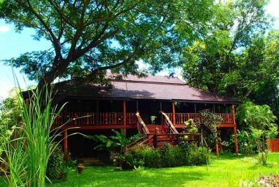 Clase auténtica de cocina tailandesa de lujo (medio día)