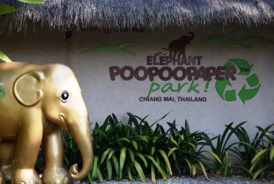 Una iniciativa de reciclaje con temática de elefante Una iniciativa de reciclaje con temática de elefante