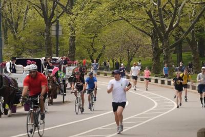 Historia detrás de Central Park: patio trasero de Manhattan, desierto por diseño