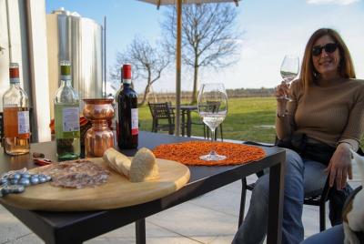 Experiencia de degustación privada de los 4 vinos DOC del lago de Garda