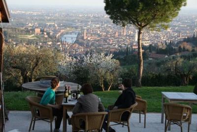 Experiencia de cata y cata de vinos en Verona