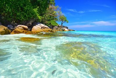 Surin Island Snorkeling