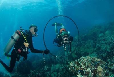 Cursos avanzados de buceo en aguas abiertas de Padi (inicio en Koh Chang)