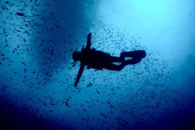 Curso de buceo en aguas abiertas Curso de buceo en aguas abiertas