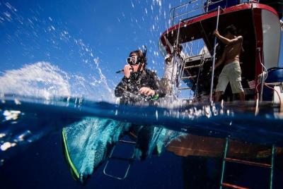 PADI Discover Scuba Diving Experience Full Day Trip