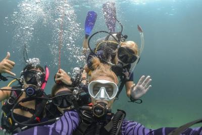 Descubra la experiencia de 1 día de buceo (DSD)